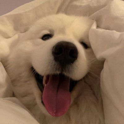 DeamStick4746's profile picture. 