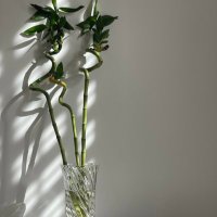 BE ๐ (@v4cz2) 's Twitter Profile