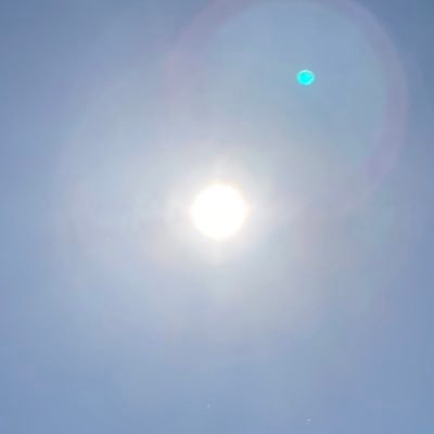 ナスカの地上絵は本当に人間がかいたのか？あなたの親は本当にあなたの親なのか？モナリザは本当に微笑んでいるのか？シンデレラがガラスの靴を落としたのはわざとなのか偶然か