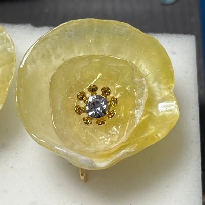 kanon_marine's profile picture. ビーチコーミングで出会った宝物（貝殻、シーグラス、シー陶器）でハンドメイドしてます🐚 𓇼好きな水族館はもぐらんぴあです🐡