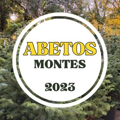 Venta de árboles navideños naturales y sostenibles por los estudiantes de la ETSI de Montes, Forestal y del Medio Natural UPM. 
👇¡¡Haz tu pedido online!!👇