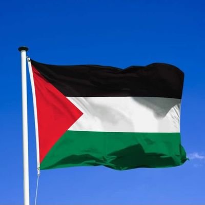 doligiven's profile picture. Le salut de l'humanité réside en chacun de nous...