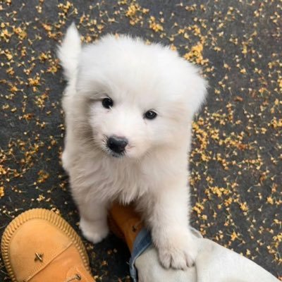 ttJiang1212's profile picture. 我永远爱马嘉祺