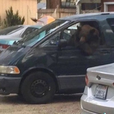 ashrand_1173's profile picture. a musician, a father, a technician and a human