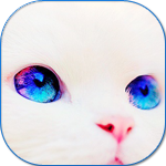 EmilyPrate76024's profile picture. 