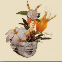 sou.mt (@kanki____) Twitter profile photo