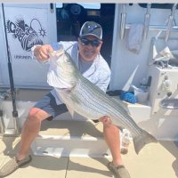 Lee Gold (@lagold_66) 's Twitter Profile Photo Lee Gold (@lagold_66) 's Twitter Profile Photo