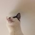 ily (@onirisis) Twitter profile photo ily (@onirisis) Twitter profile photo