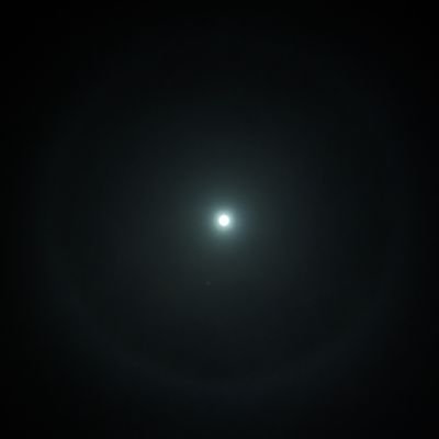 Andrea77907's profile picture. 