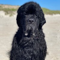 wendy button☮️ (@wendybutton) 's Twitter Profile