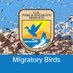 USFWS Migratory Birds (@USFWSBirds) Twitter profile photo