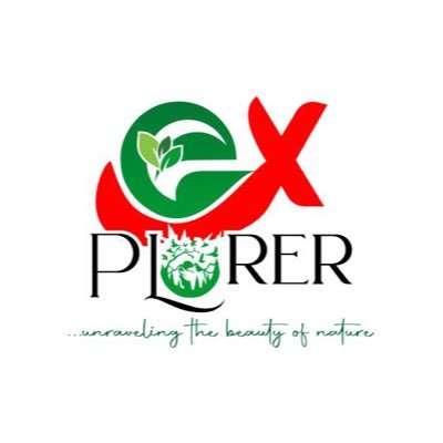 OFFICIAL X (twitter handle) of TEAM EXPLORERS . We research 🔬 we educate 📃📜📖, we make awareness about the beauty of nature and importance of plant 🌱.