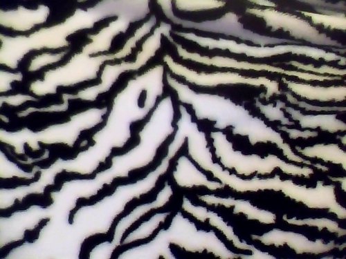 ZebraxoxStripes's profile picture. :D Follow Me!