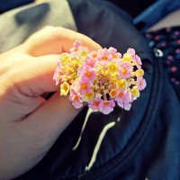 Ütopik Matmazel (@utopikmatmazel) Twitter profile photo