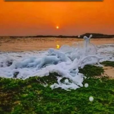 VrutaDomadiya's profile picture. Gazetted Officer 🇮🇳
Government of Gujarat