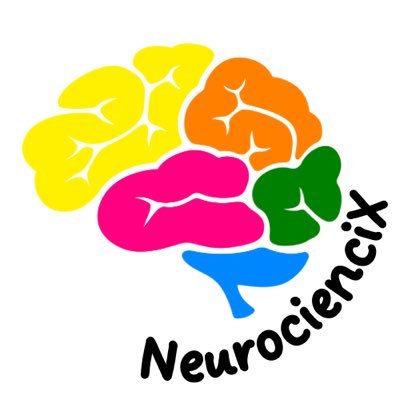 🧠Neurodivulgación, formación y recursos para psicólog@s y neuropsicólog@s. Y algo de humor, pa los días malos.