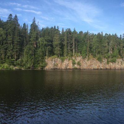 dachnika's profile picture. 