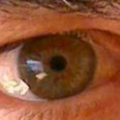 fxnarro's profile picture. aficionado al Rioja 🍷 Me encanta lo relacionado con el vino, pero no soporto el enoturismo.