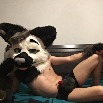 26 || AD 18+ 🔞 || Soft suiting/Murrsuiting || Single Straight Fennec || No minors/Zoos/Pedos ||