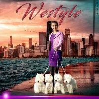 WESTYLE Westie Kennel(@WestyleWesties) 's Twitter Profile Photo