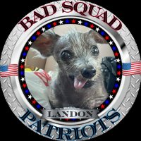 TheRealLandonDeals (@landon_deals) 's Twitter Profile