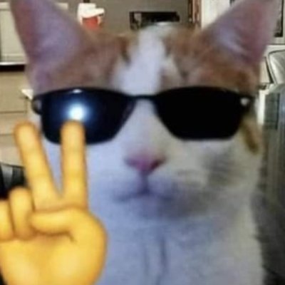 xiushyirl's profile picture. 22 - she/her // trying to stream but is just a girl // art acc: @xiushyy