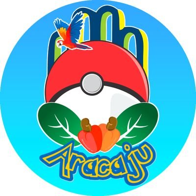 Perfil da comunidade de jogadores de Pokémon Go de Aracaju
