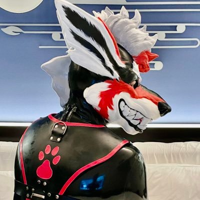 Curious zentai/latex puppy sometimes endss up in ropes, devoted to photography and music | Demi + Sapio | Single | PFP @ManInRubber, BG @YukitoTheFox