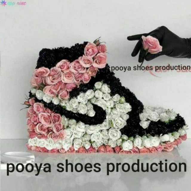 kafsh_pooya's profile picture. 