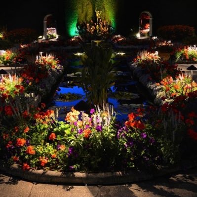 midnightG52's profile picture. I’m back bitches!