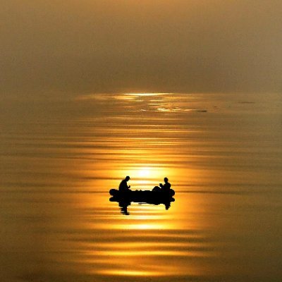 tyt33413704's profile picture. Do yourself.