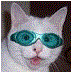 The End is Naenae (@theendisnaenae) Twitter profile photo