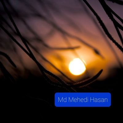 MdMehed52548147 Profile Picture