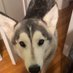 daultonmontagna (@daultonmontagn2) Twitter profile photo daultonmontagna (@daultonmontagn2) Twitter profile photo