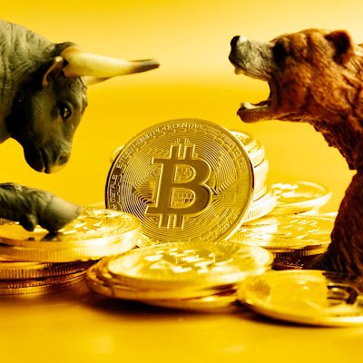 BitHub111's profile picture. 