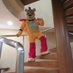 Zeck Bear (@zeck_bear) Twitter profile photo Zeck Bear (@zeck_bear) Twitter profile photo