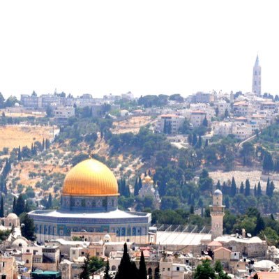 Nandini Krishnan 🇵🇸 Profile