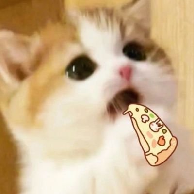 nQUnvsMUY492827's profile picture. 