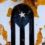 LobselVith8's profile picture. Latino. 🇵🇷 | “No estoy hecho para aceptar la injusticia.” - Ramón Emeterio Betances | Que viva Palestina! 🇵🇸