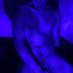 MK (@msaelxek) Twitter profile photo MK (@msaelxek) Twitter profile photo