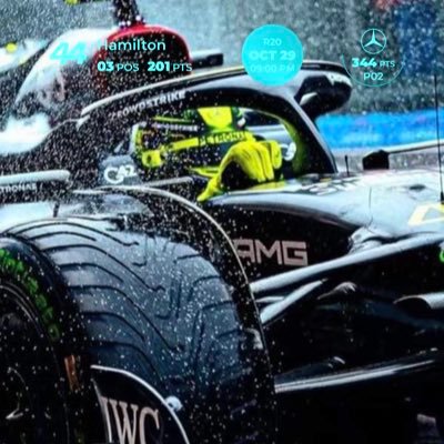 PterKozma9's profile picture. Pet