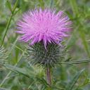 Beth Tompkins - @audiobeth - Twitter