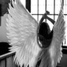 Hudu_54's profile picture. لا أحملُ في روحي إلا مايسّرني