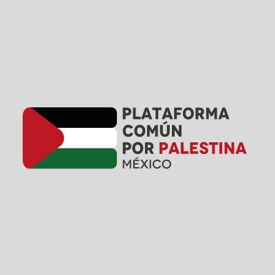 Conjunto de organizaciones, sindicatos, colectivas y personas en solidaridad con Palestina desde México 
🇲🇽🤝🇵🇸