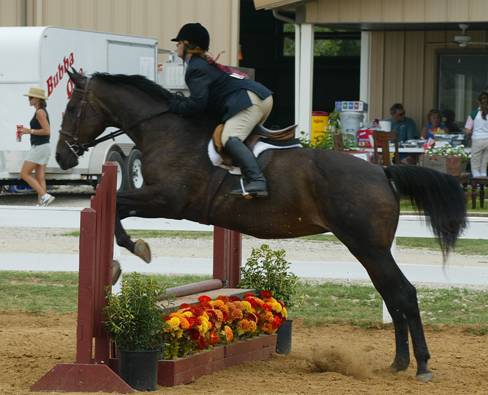 Yippy_Skippy's profile picture. I'm working towards my degree in Marketing. Only 3 semesters left! I hope to work in the sports world of marketing once I graduate. I ride horses and bowl.