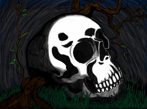 Cykloan's profile picture. 