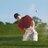 SteveBurrough's profile image