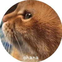 ohana(@guk_ohana) 's Twitter Profileg