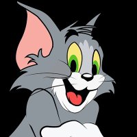 Tom (@mesor44995) 's Twitter Profile