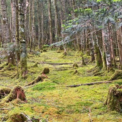 Tao64290122's profile picture. 